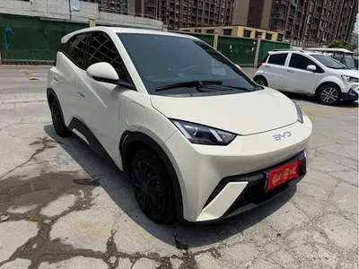 2024 BYD Seagull Glory Edition 305km Vitality Edition, фото 2, лот 10248171