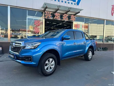 2019 Dongfeng Ruiqi 2.4L Gasoline China VI 2WD Luxury Standard Box 2TZD, фото 1, лот 11161123