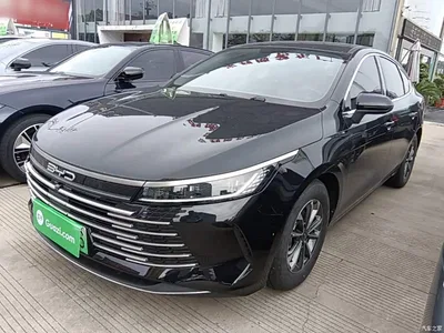 2024 BYD Destroyer 05 Glory Edition DM-i 55KM Luxury, фото 2, лот 11301153