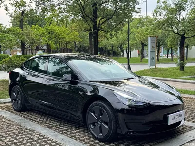 2022 Tesla Model 3 Model Rear-Wheel Drive Version, фото 3, лот 10378733