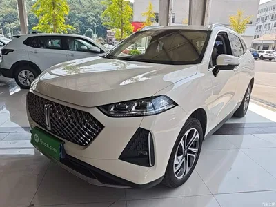 2021 WEY Macchiato DHT 1.5L DHT Master Edition, фото 2, лот 10957880
