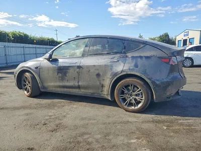 2025 TESLA MODEL Y, фото 2, лот 10855995