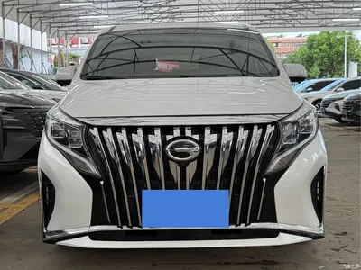 2023 GAC Trumpchi Trumpchi M8 Leading Series 390T Luxury Edition, фото 2, лот 10419400