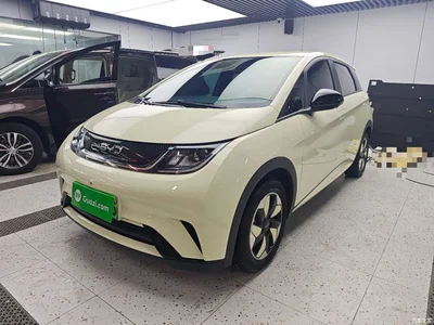2025 BYD Dolphin 420km Freedom Edition, фото 1, лот 11583709