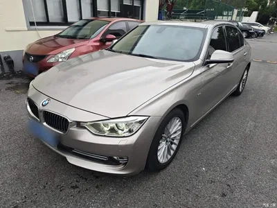 2014 BMW 3 Series 320Li Luxury Design Package, фото 1, лот 11203245