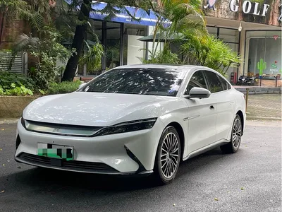 2020 BYD Han EV Extended Range Luxury, фото 1, лот 10258098