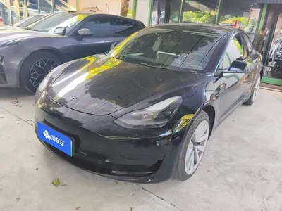 2021 Tesla Model 3 Standard Range Rear-Wheel Drive Upgrade, фото 1, лот 10354100