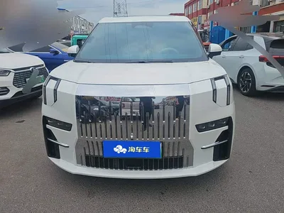 2022 ZEEKR 009 WE Edition, фото 2, лот 10291399