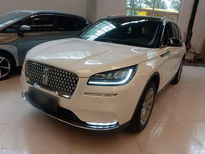2020 Lincoln Adventurer 2.0T 2WD Premium Enjoyment Edition, фото 1, лот 10838121