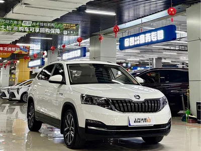 2022 Škoda Kamiq 1.5L Automatic Comfort Edition, фото 3, лот 10349217