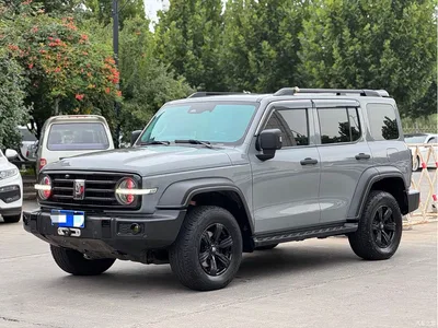 2021 Tank 300 Off-road Version 2.0T Conqueror, фото 1, лот 10344471