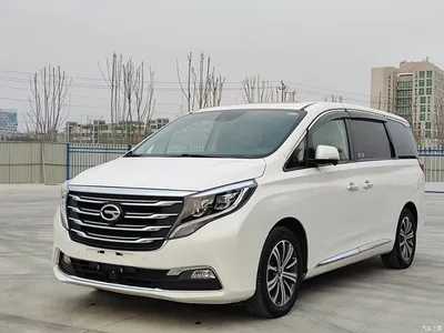 2018 GAC Trumpchi Trumpchi M8 320T Flagship Edition, фото 1, лот 10418280