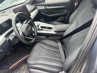 2025 Geely Xing Rui Oriental Glory 1.5TD Kunlun Edition, фото 4, лот 10359286