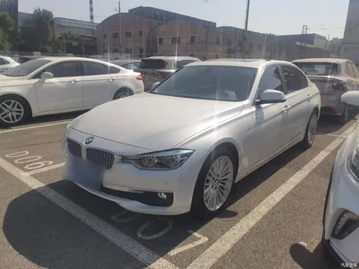 2018 BMW 3 Series 320Li Fashion Style, фото 1, лот 11133121