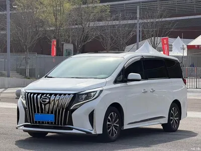 2021 GAC Trumpchi Trumpchi M8 Leading Show Series 390T Luxury Edition, фото 1, лот 11228476