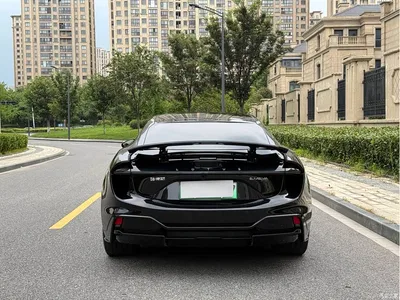 2025 Lotus Cars EMEYA Blossom 600 Luxury, фото 3, лот 11155353