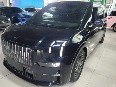 2022 ZEEKR 009 WE Edition, фото 1, лот 10291949