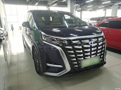 2022 Denza D9 DM-i 970 All-Wheel Drive Honor Edition, фото 4, лот 10888279
