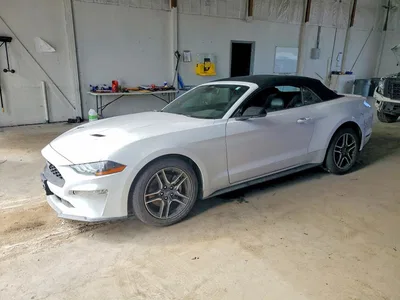 2023 FORD MUSTANG, фото 1, лот 10553648