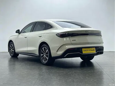 2024 BYD Seal 06 New Energy DM-i 80KM Prestige, фото 4, лот 11174872