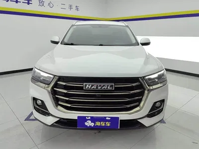 2021 Haval H6 National Trend Edition 1.5T Automatic Urban Edition, фото 2, лот 10297226