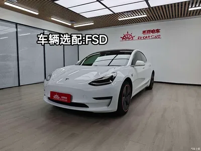2019 Tesla Model 3 (Import) Long Range RWD Version, фото 1, лот 10356165