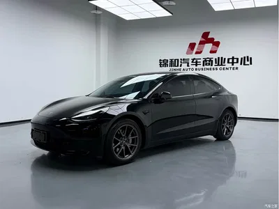 2021 Tesla Model 3 Standard Range Rear-Wheel Drive Upgrade, фото 1, лот 10357739