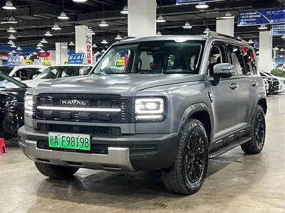 2025 Haval Meng Long NEV Model Base Version, фото 3, лот 10282750