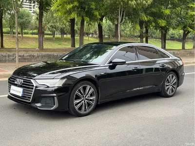 2019 Audi A6L 45 TFSI quattro Premium Dynamic, фото 1, лот 10423133