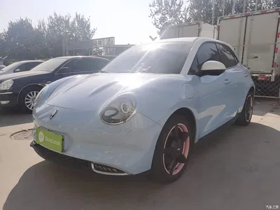 2022 Ora Good Cat 400km Standard Range Luxury LFP, фото 1, лот 11187373