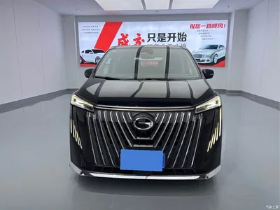 2024 GAC Trumpchi Trumpchi M8 Master Series 400T Premium Edition, фото 2, лот 11008016