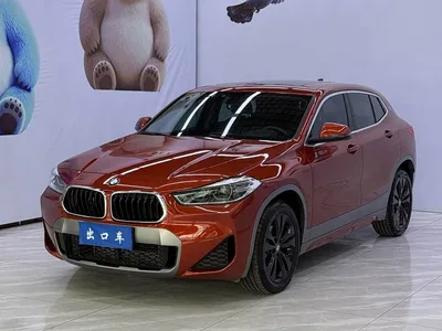 2020 BMW X2 sDrive20i M Off-Road Package, фото 1, лот 10475461