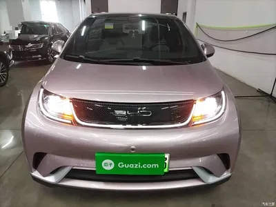 2021 BYD Dolphin Model 405km Fashion Edition, фото 3, лот 10264713