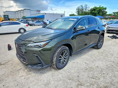 2023 LEXUS NX 250, фото 1, лот 10848032