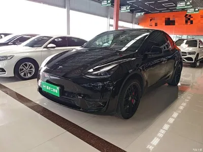 2023 Tesla Model Y Rear-Wheel Drive Edition, фото 1, лот 10812685
