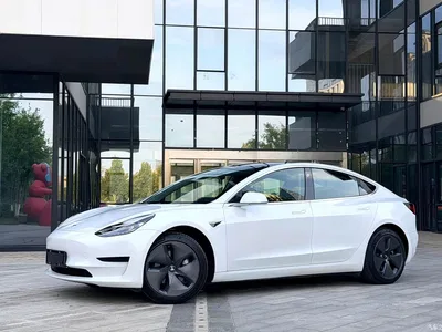 2019 Tesla Model 3 Standard Range Rear-Wheel Drive Upgrade, фото 1, лот 10517477