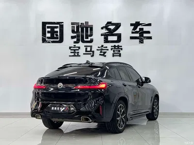 2022 BMW X4 xDrive 25i M Sport Package, фото 2, лот 10410943