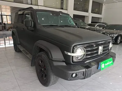 2021 Tank 300 Off-road Version 2.0T Conqueror, фото 4, лот 10345515