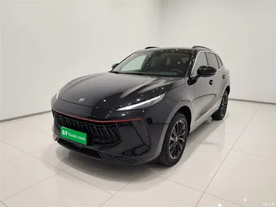 2021 Dongfeng Fengxing T5 EVO 1.5TD DCT Diamond Edition, фото 2, лот 11158813