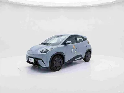 2024 BYD Seagull Glory Edition 305km Vitality Edition, фото 1, лот 10251968