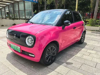 2021 Ora Black Cat 351km Luxury Model, фото 1, лот 10331640