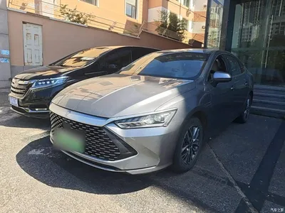 2023 BYD Qin PLUS Champion Edition DM-i 120KM Excellence, фото 1, лот 10362891