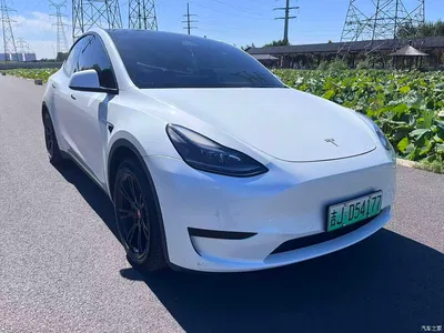 2022 Tesla Model Y Rear-Wheel Drive Version, фото 1, лот 10479511