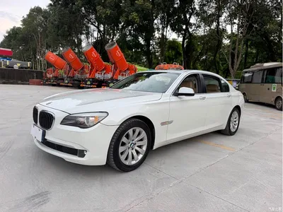 2009 BMW 7 Series 740Li Premium, фото 1, лот 10459649