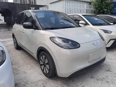 2023 Wuling Motors Wuling Bingo 333km Smart Connectivity Edition, фото 4, лот 10368267