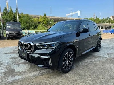 2022 BMW X5 xDrive 30Li Premium M Sport Package, фото 1, лот 10462723