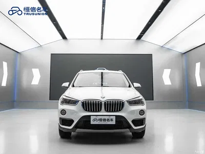 2019 BMW X1 sDrive20Li Leading Model, фото 2, лот 10466672