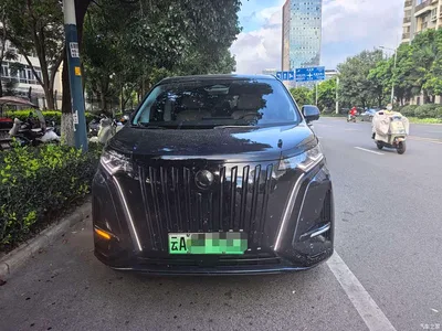 2024 Denza D9 EV 600 AWD Flagship, фото 2, лот 10817685