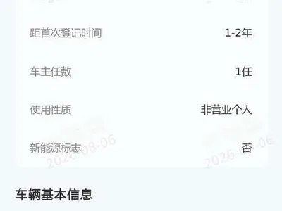 2024 BYD Seal 06 New Energy DM-i 120KM Flagship, фото 3, лот 10275059