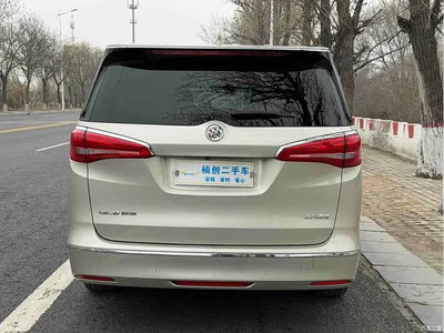 2018 Buick GL8 ES 28T Luxury Type China VI, фото 2, лот 10255104